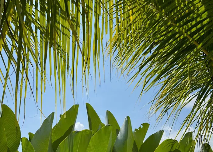 Makai Medewi Villa Airsatang