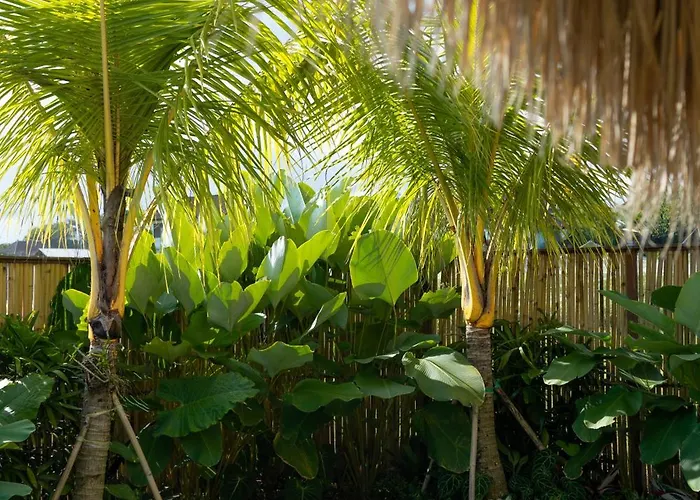 Villa Makai Medewi *